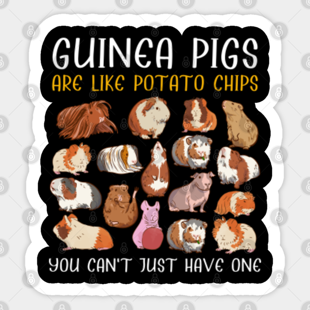 Guinea Pigs Are Like Potato Chips Guinea Pigs Are Like Potato Chips
